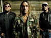 Игги Поп и его группа The Stooges вернулись
