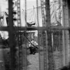�������������. Paul McCartney�� Chaos and creation in�the backyard (2005)