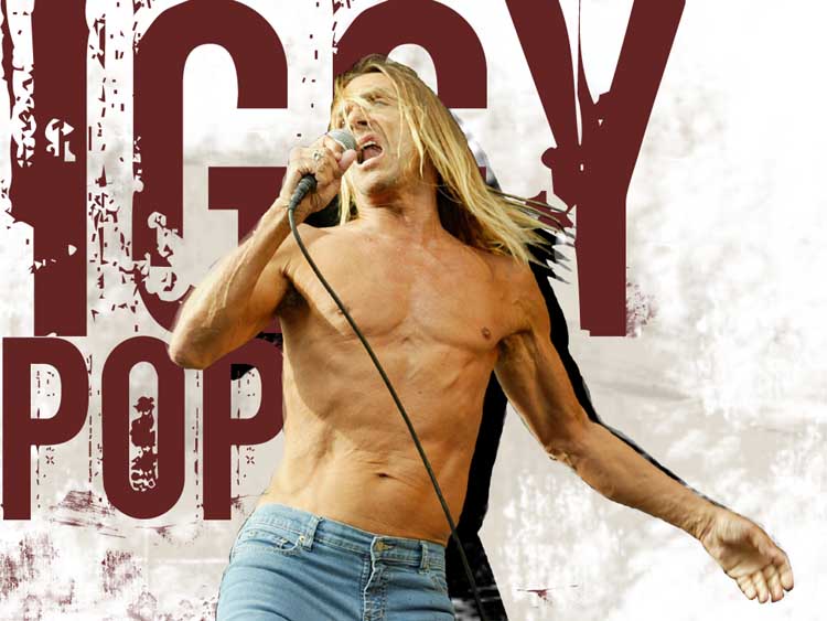 Iggy Pop and The Stooges  DVD