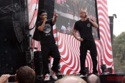 Die Fantastischen Vier