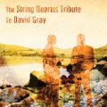 Sting Quartet Tribute to David Gray