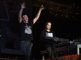 Infected Mushroom