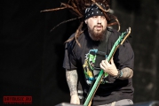 Korn