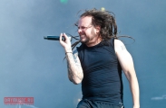 Korn