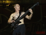 Korn
