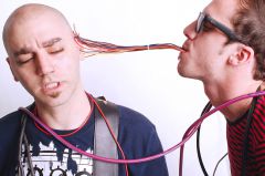 ������� Modex � ������