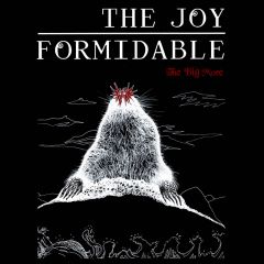 Joy Formidable выложили он-лайн свой новый EP