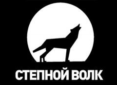 Независимую музыкальную премию «Степной Волк» вручат в Москве